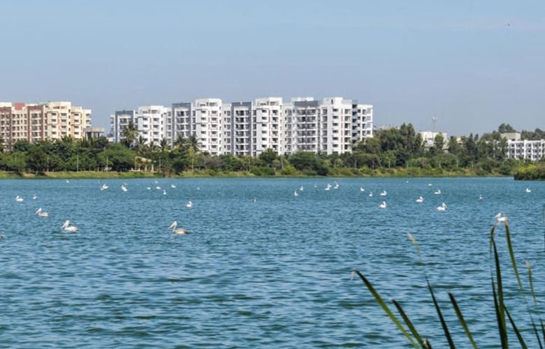 Purva meraki2