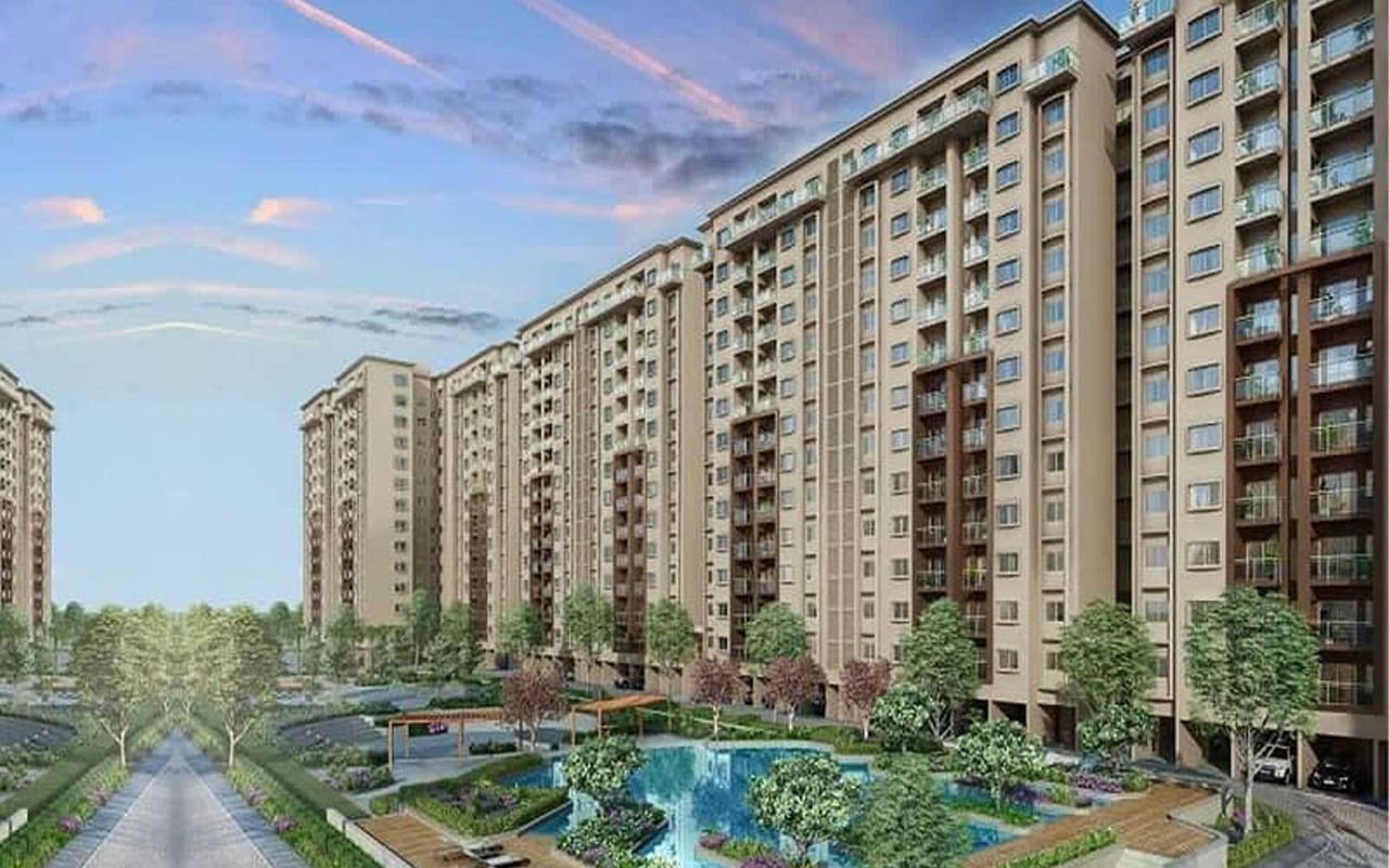 Provident3