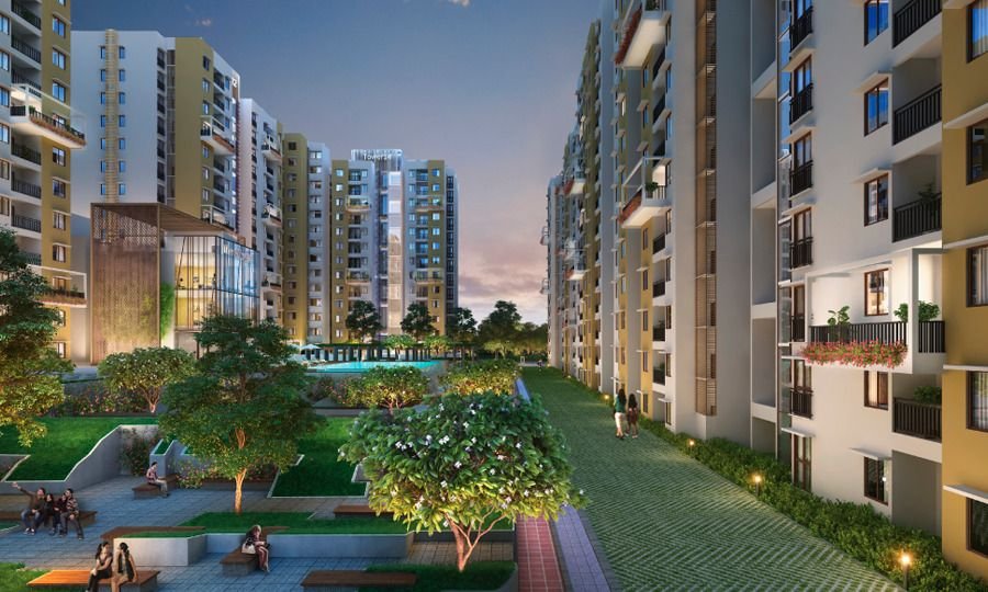 Purva Zenium1
