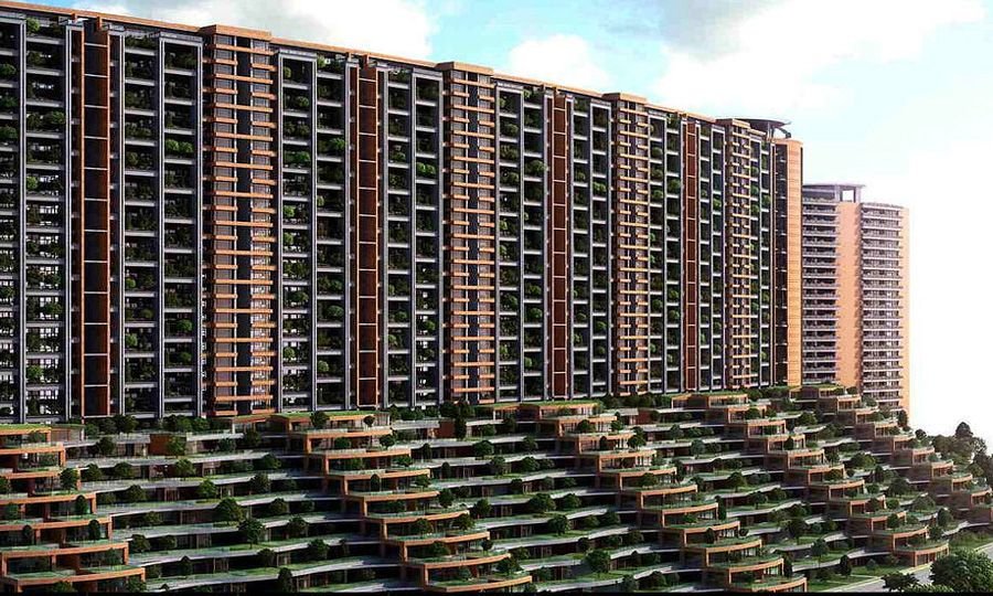 Total Environment, Whitefield1