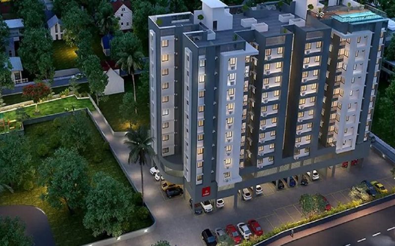 Orchid Bloomberry4.png