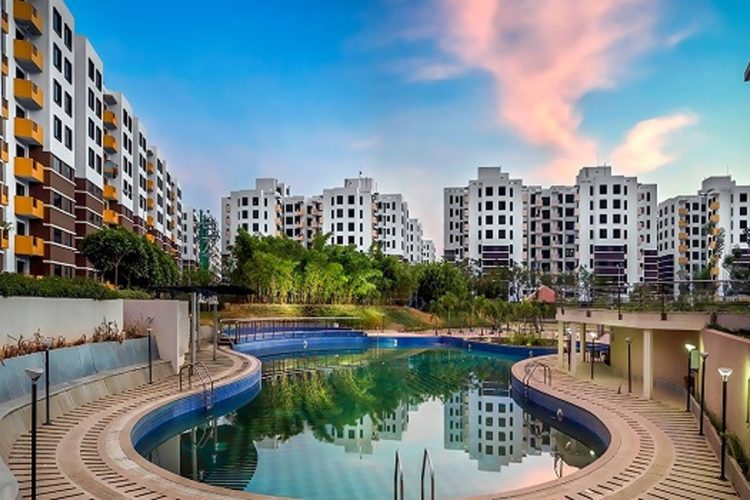 Purva-Blubelle-img3-min