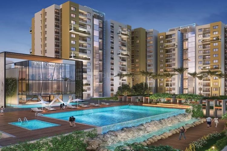 Purva Celestial-img2