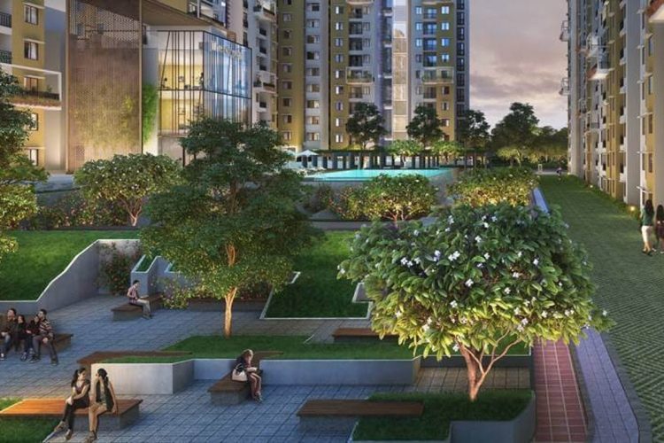 Purva Celestial-img3