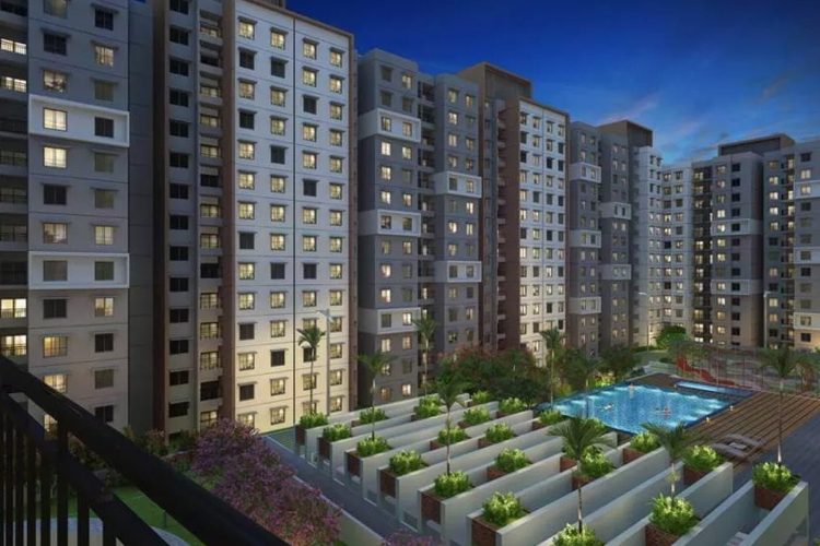 Purva Celestial-img4