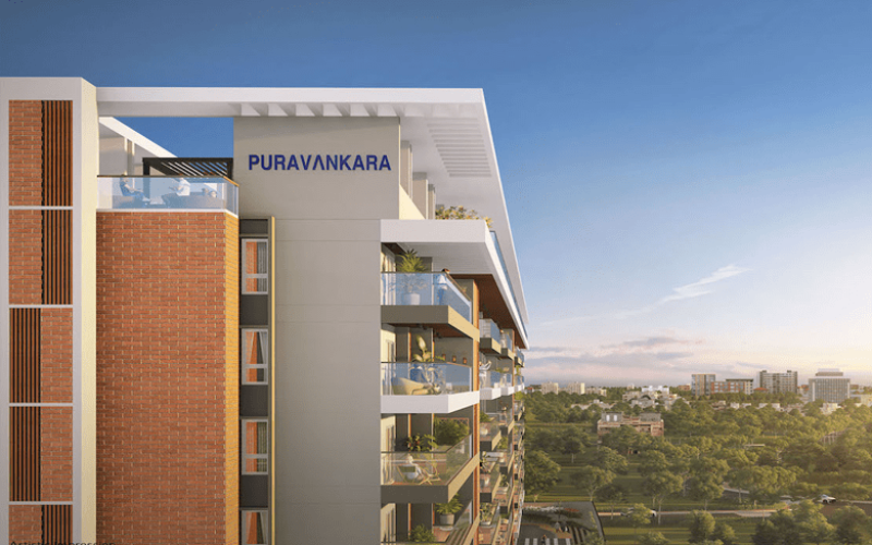 Purva meraki5