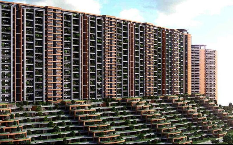 Total Environment, Whitefield1