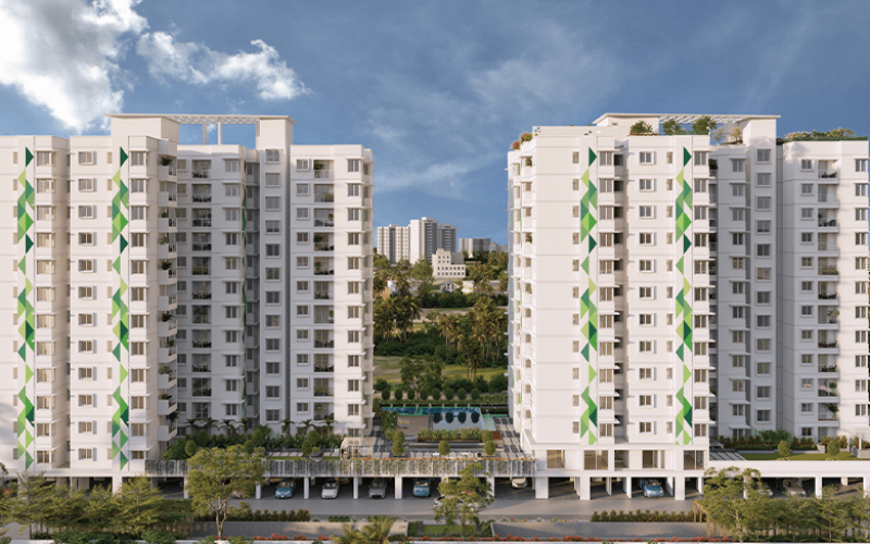 mana macasa emerald1